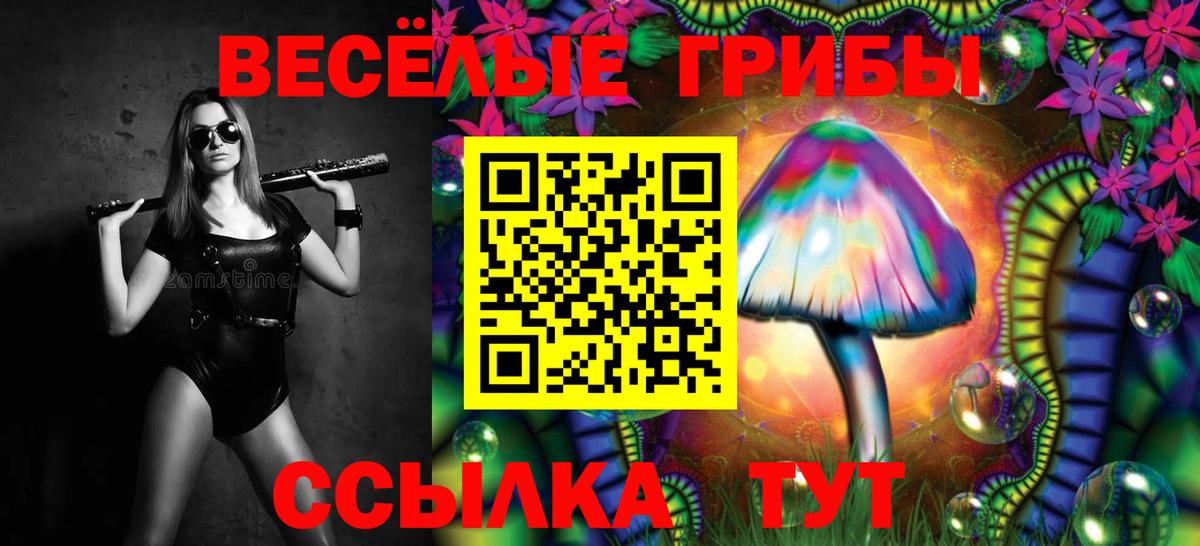 Псилоцибиновые грибы Cubensis Мегион