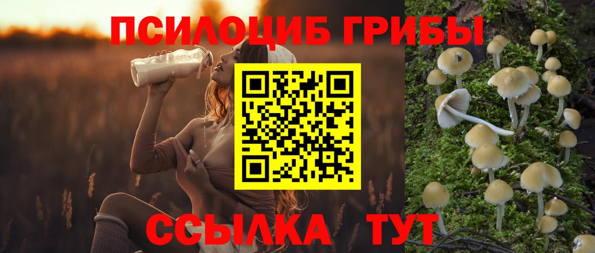 Галлюциногенные грибы MAGIC MUSHROOMS  Вход с VPN  как найти наркотики  Псилоцибиновые грибы Psilocybine cubensis  Мегион 
